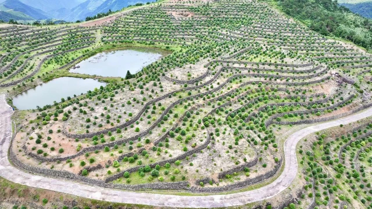 1749776339107409.jpg 006d1f371d7f8a0aa92442796a07234f.jpg