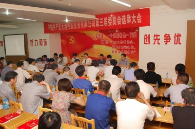 2011年，中共天通控股股份有限公司第三屆委員會(huì)第一次會(huì)議召開(kāi)